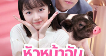 หัวหน้าฉันเป็นหมูน้อย