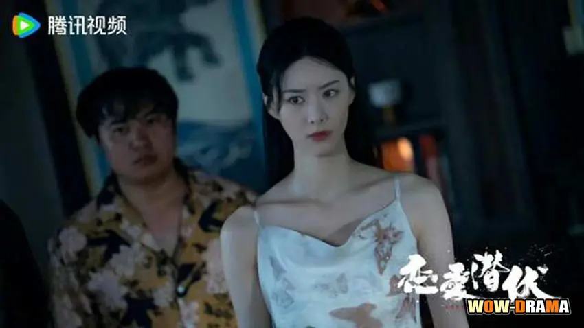 หัวใจซ่อนเงา