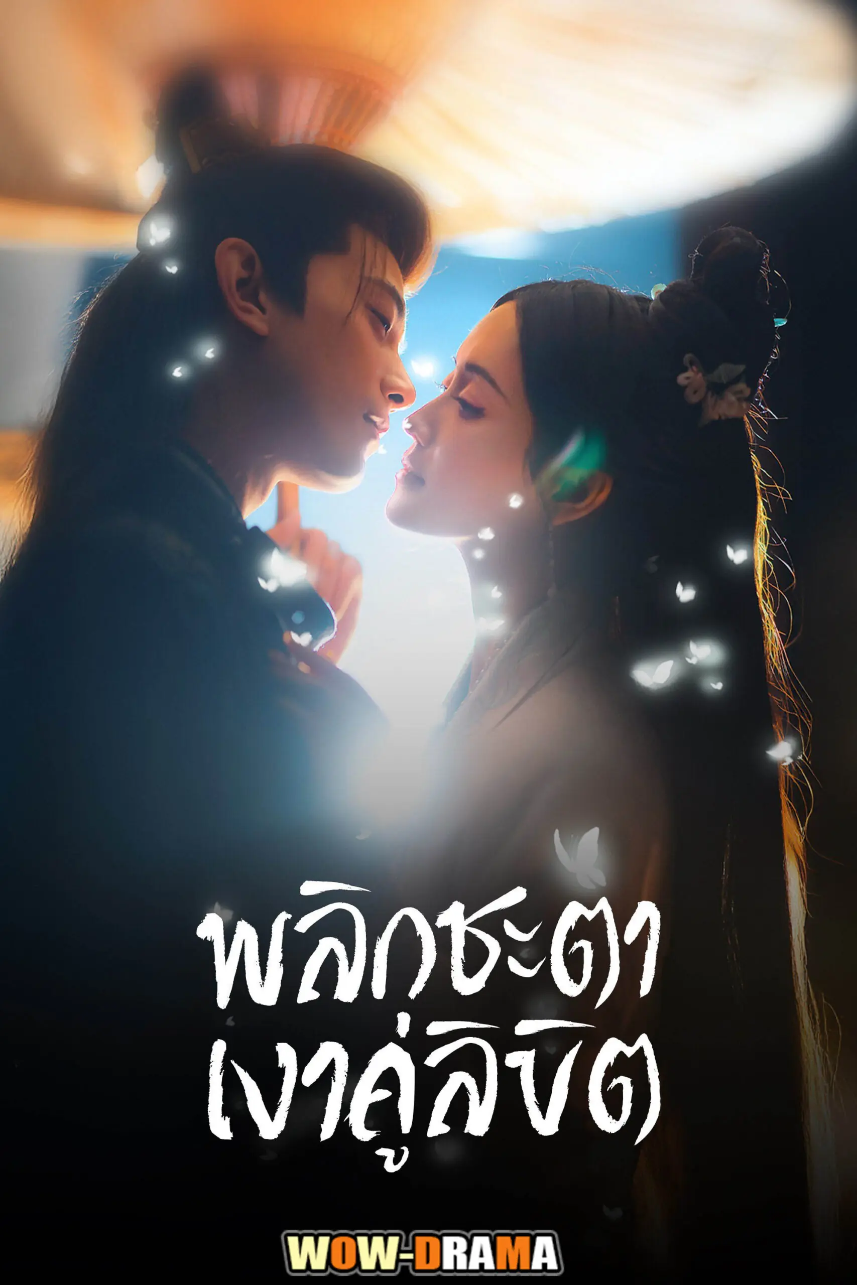 พลิกชะตาเงาคู่ลิขิต