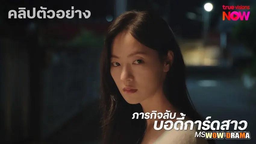 ภารกิจลับบอดี้การ์ดสาว