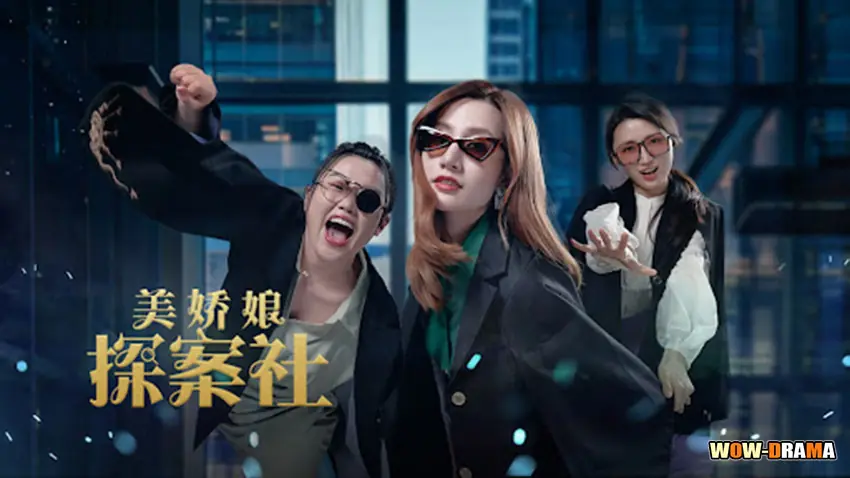 The Beautiful Lady Detective Agency