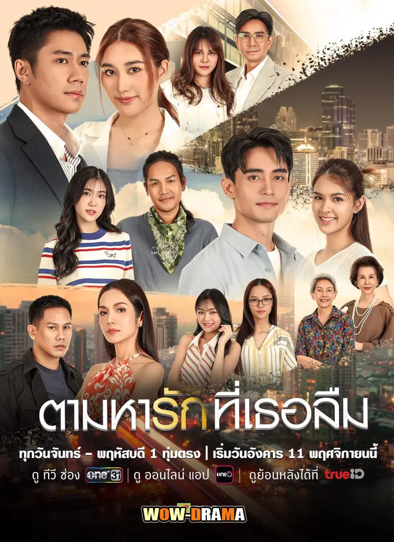 ตามหารักที่เธอลืม