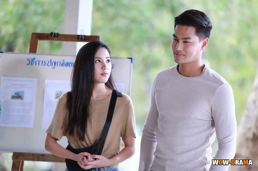 แก่นแก้ว