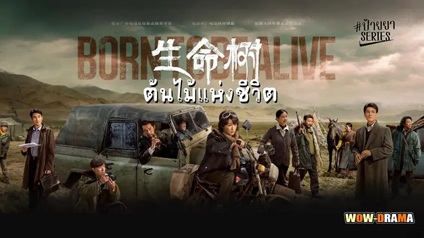 ต้นไม้แห่งชีวิต