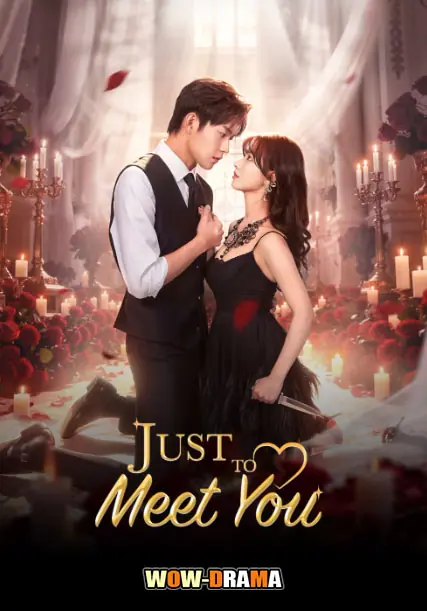 บังเอิญพบก็เผลอรัก