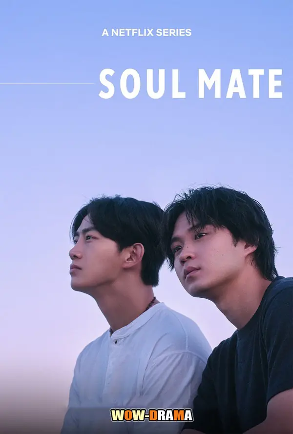 โซล เมท