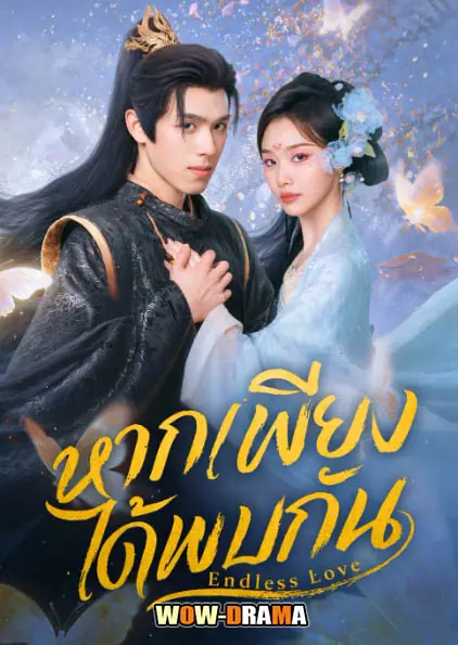 หากเพียงได้พบกัน